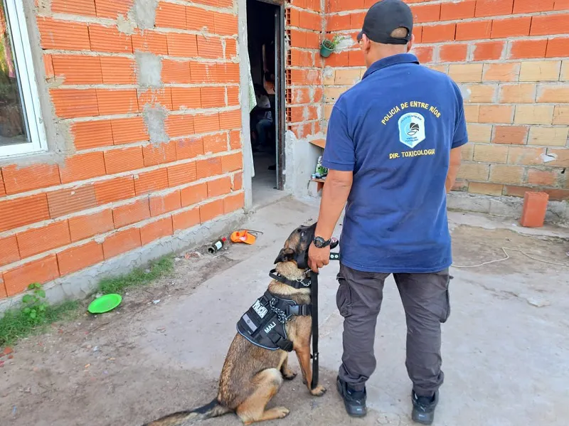 ca9b35a3-914f-4f3f-bb6a-9b5d3d4566eb