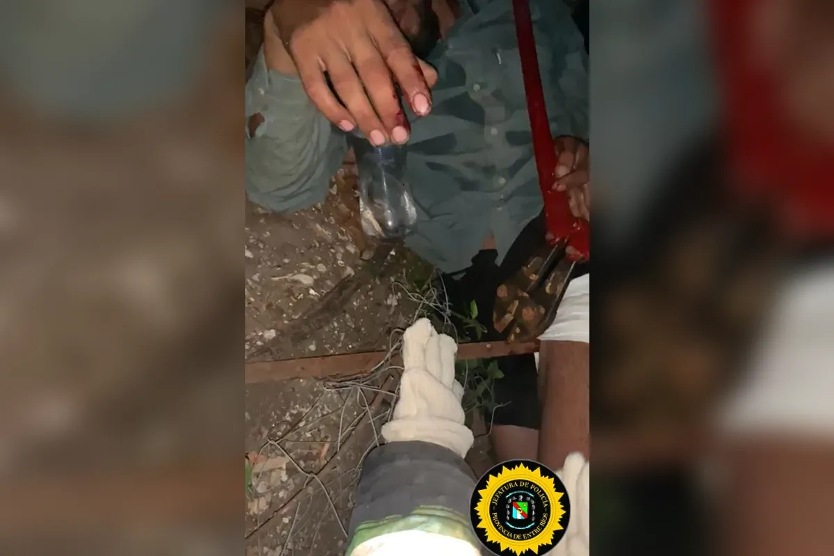 cayo de un arbol y se incrusto una planchuela - diario el enfoque concordia