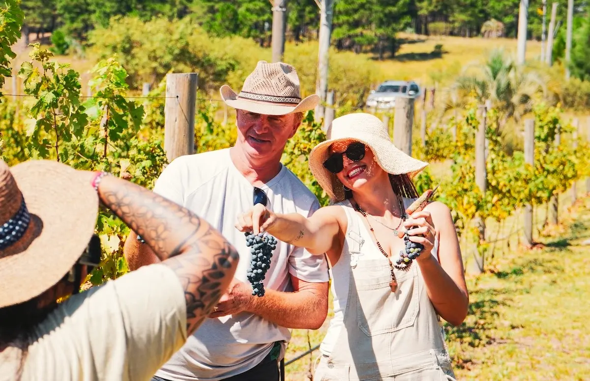 Enoturismo - Diario El Enfoque Concordia