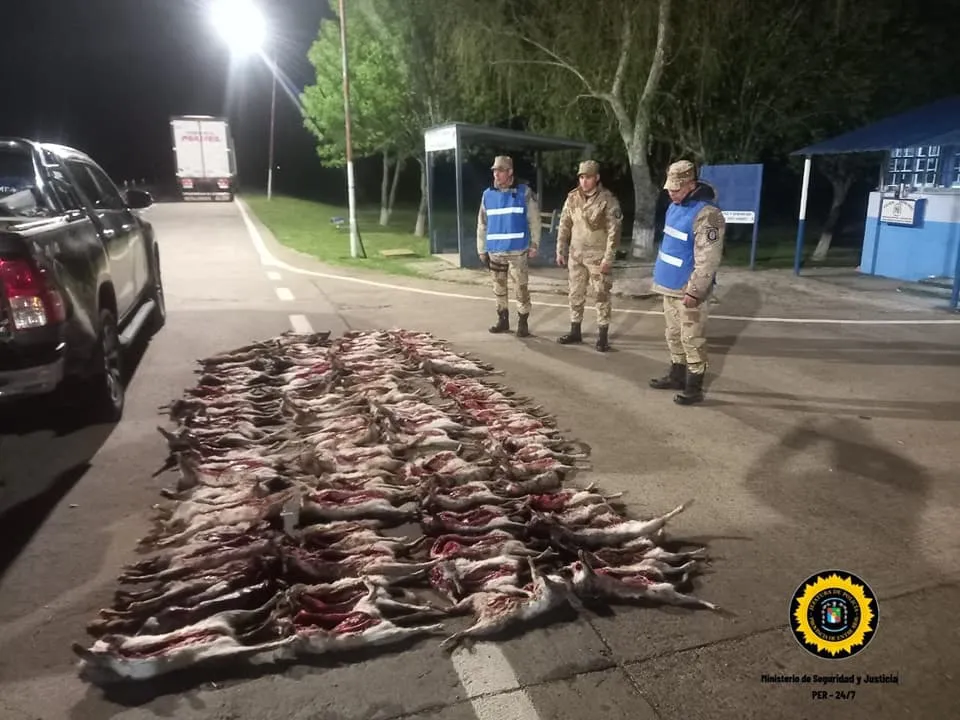 462238352_937213931775985_1301557581640610563_n (1)