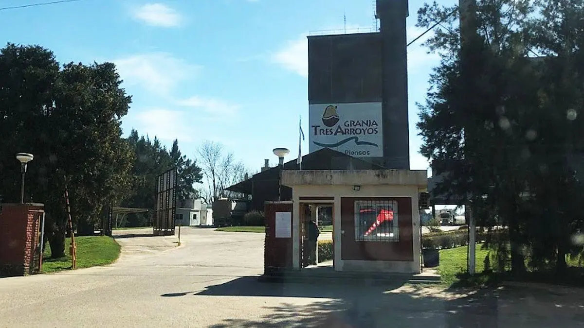 granja tres arroyos - diario el enfoque concordia