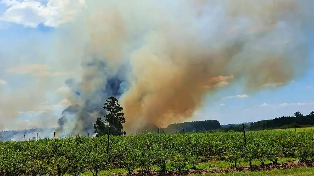 Incendios Bomberos Voluntarios - Diario El Enfoque Concordia 2