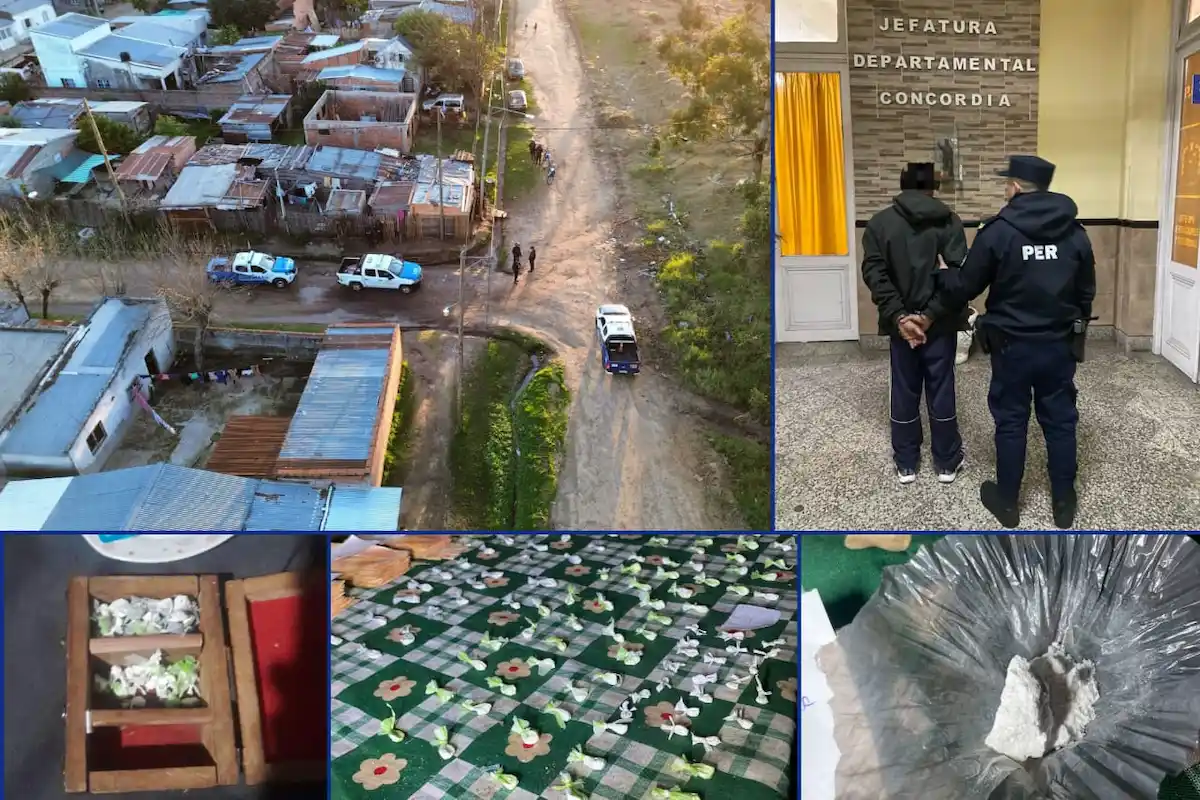 Dos detenidos, secuestro de cocaína, marihuana y  dinero en Concordia - Diario El Enfoque