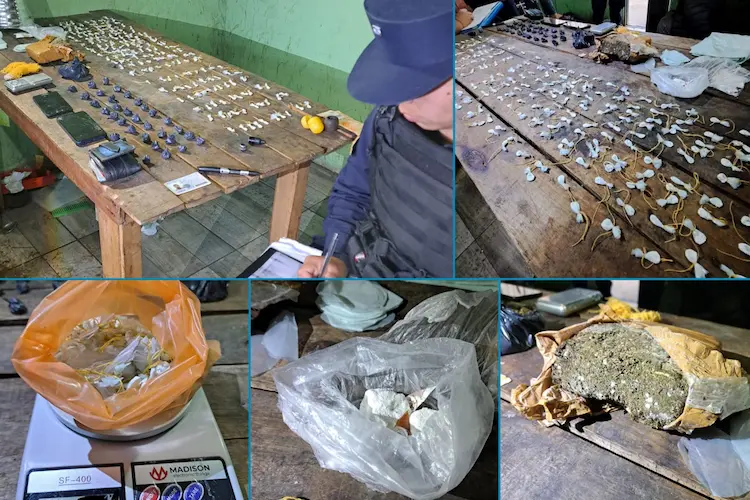 secuestro de drogas