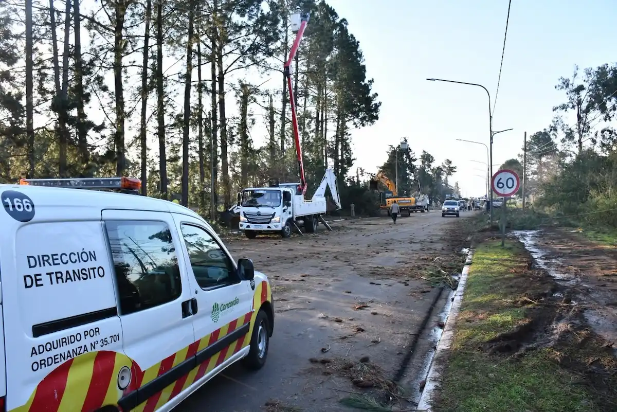 temporal y municipalidad - diario el enfoque concordia