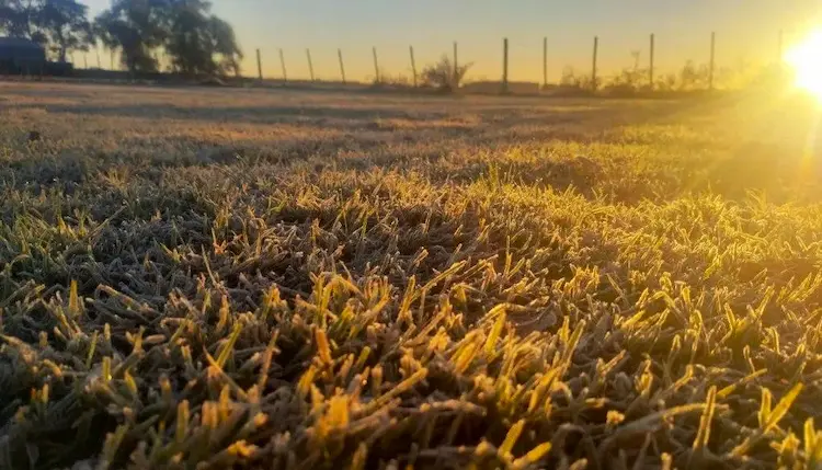 heladas frío entre ríos