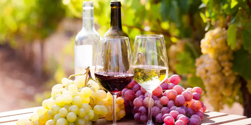 vino y uva - diario el enfoque concordia