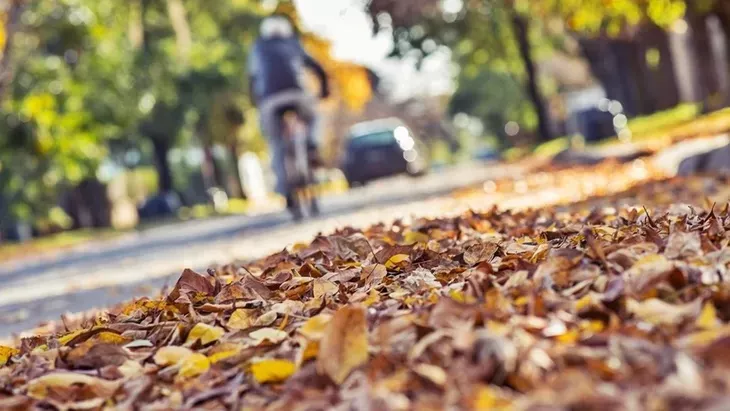 Otoño
