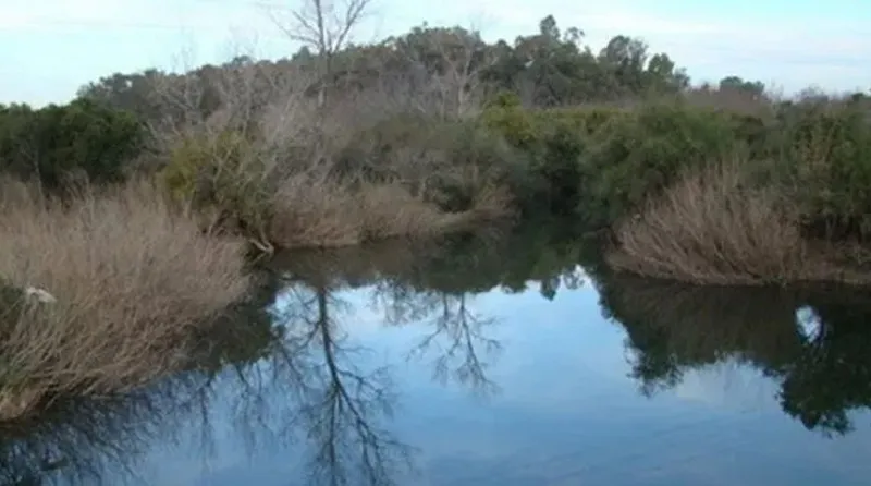 ARROYO
