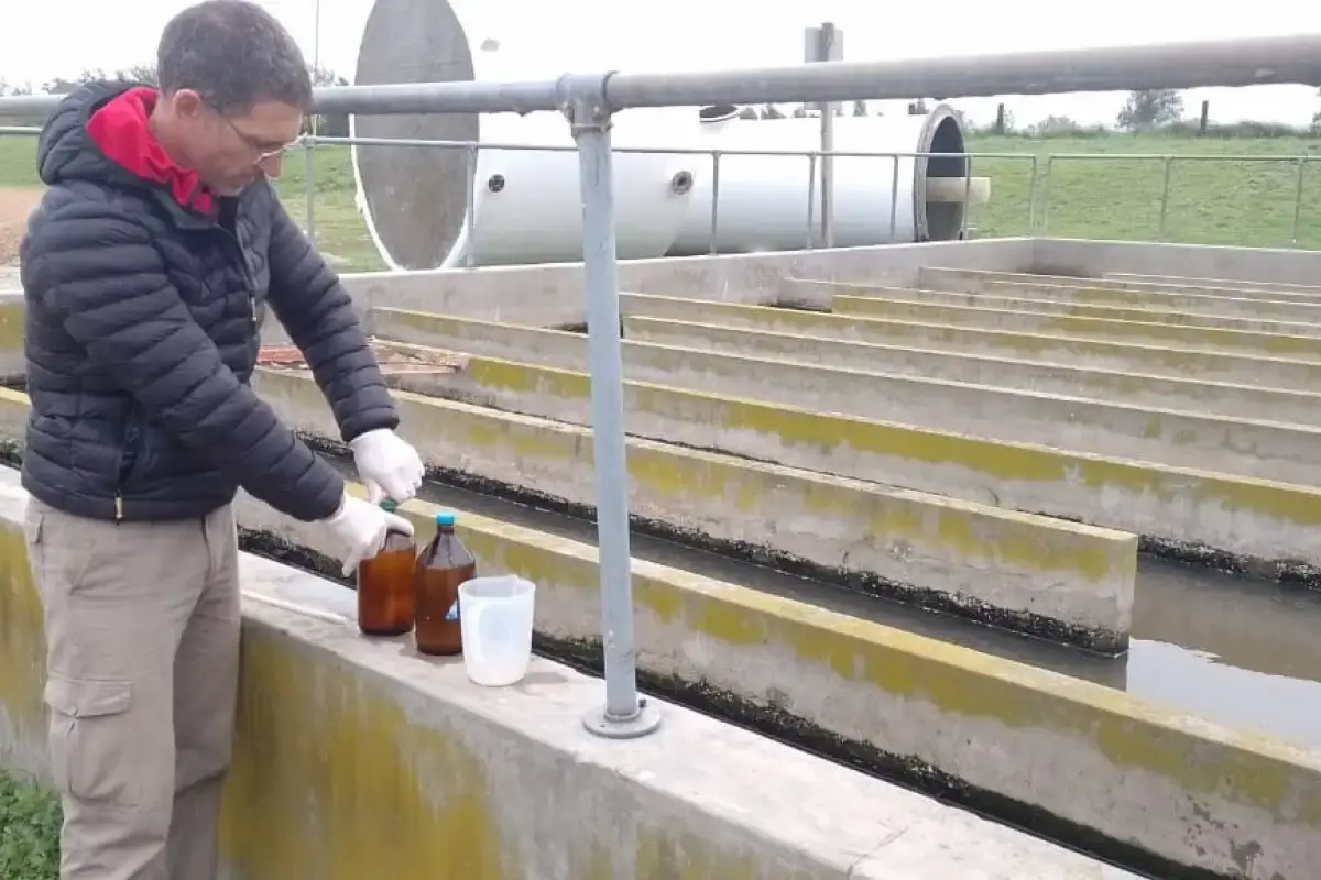 muestras planta gualeguaychú - diario el enfoque concordia