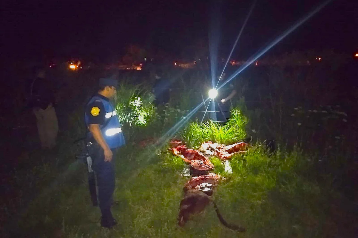 Abigeato en Concordia - Diario El Enfoque