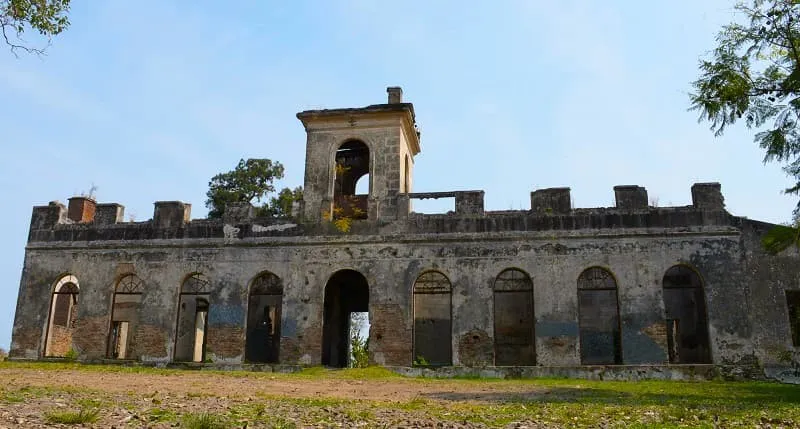 Naranjal (1) (1)