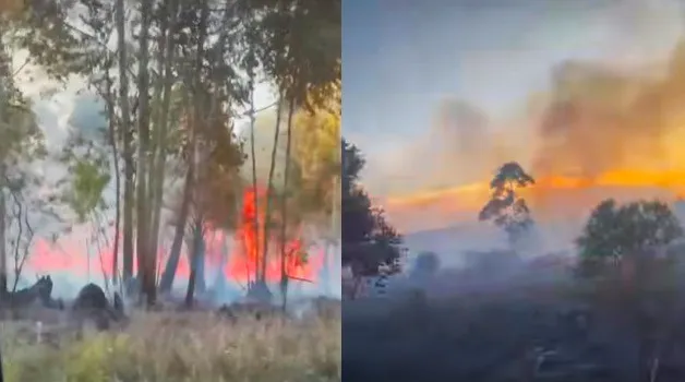 incendio osvaldo magnasco