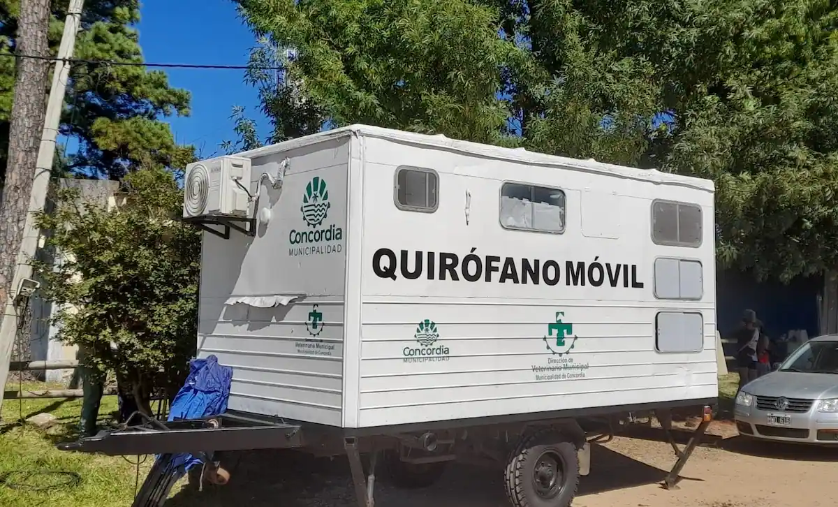 Esterilizaciones gratuitas en Concordia - Diario El Enfoque