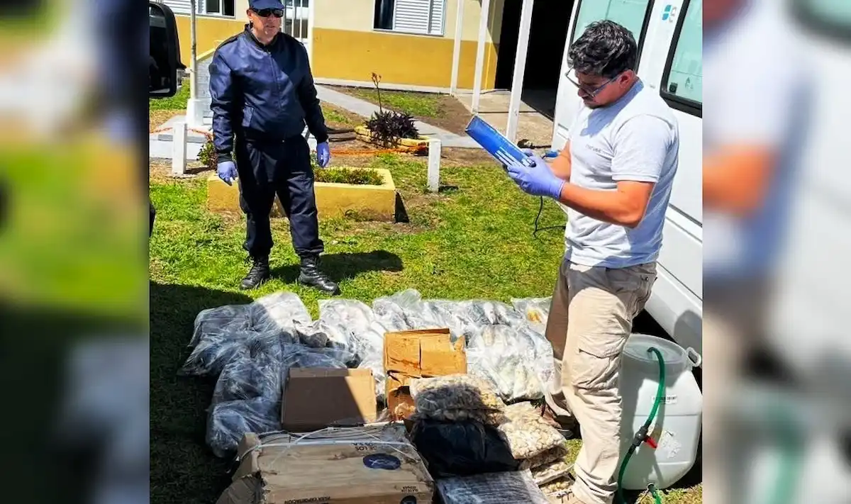 senasa mariscos federal - diario el enfoque concordia