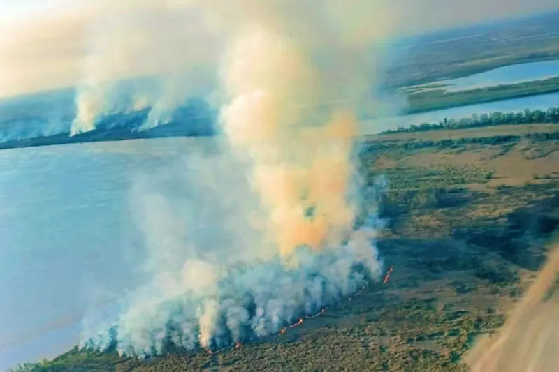 Incendios forestales - Diario El Enfoque Concordia