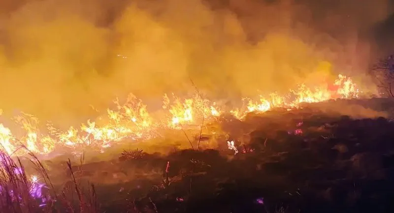 incendio 1
