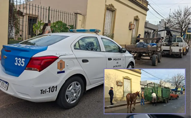 secuestro caballo