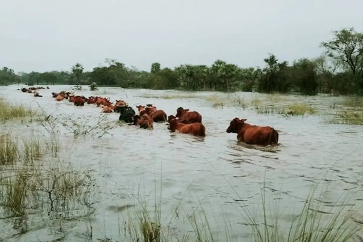 inundaciones - diario el enfoque concordia