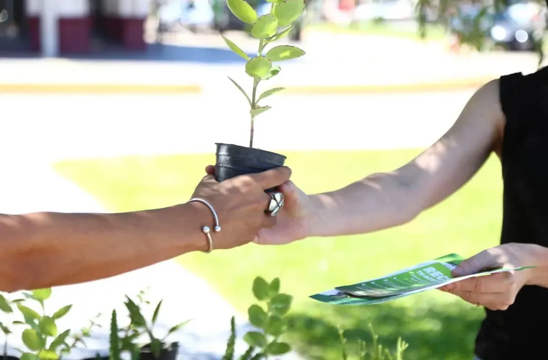 ecocanje, ecología