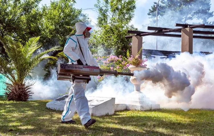 fumigación 1