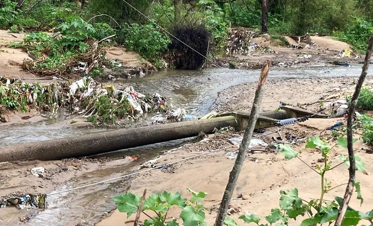 WhatsApp Image 2024-03-09 at 09.53.01 (1)