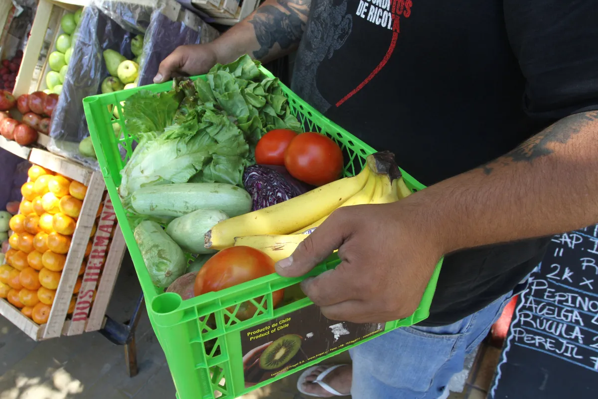 AGROECOLOGÍA (5)