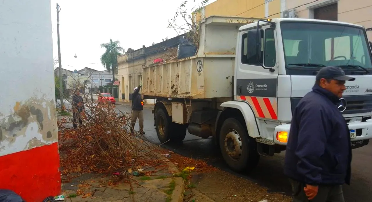 LIMPIEZA DE LA CIUDAD (8)
