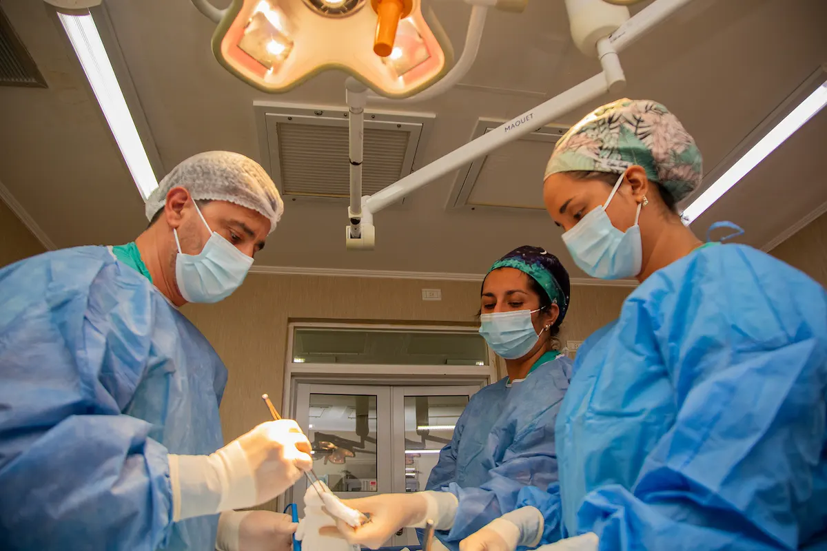 Donación de órganos en Paraná benefició a seis pacientes - diario el enfoque concordia