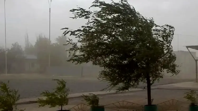 tormenta viento