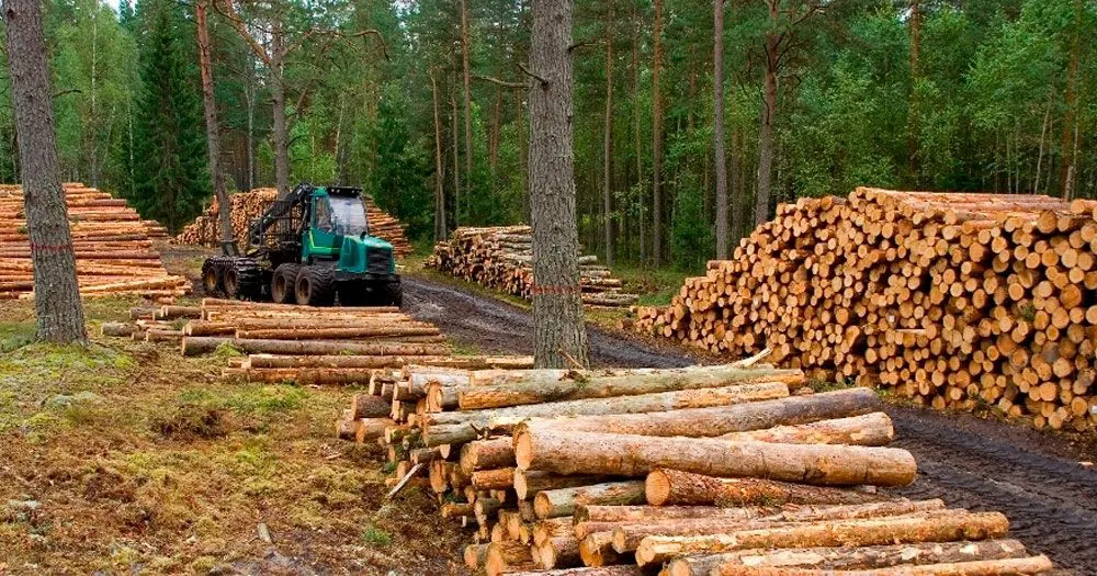 forestal