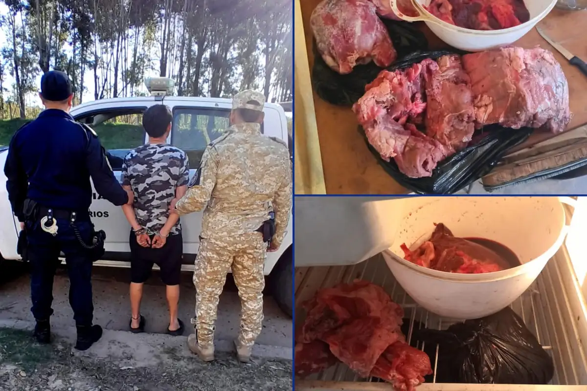 Lo agarraron con la carne cayó un hombre tras carnear una vaca en Calabacilla - Diario El Enfoque Concordia