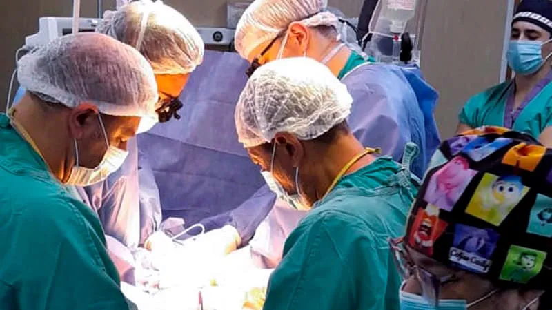 donación de órganos (1)