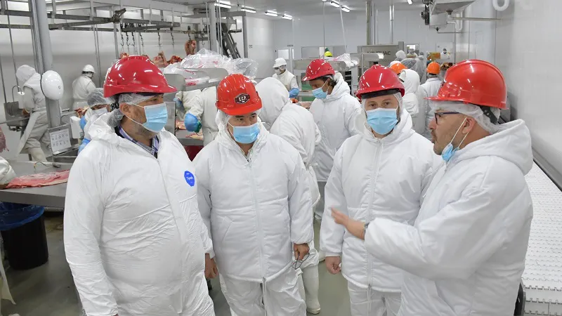 multimedia.normal.a329a2cd4a98484d.QXpjdcOpIEZyaWdvcsOtZmljbyAxX25vcm1hbC53ZWJw