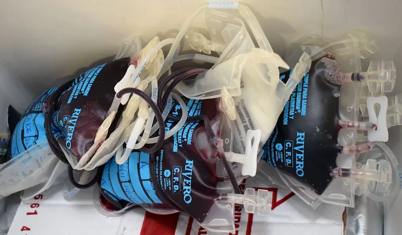 donación de sangre