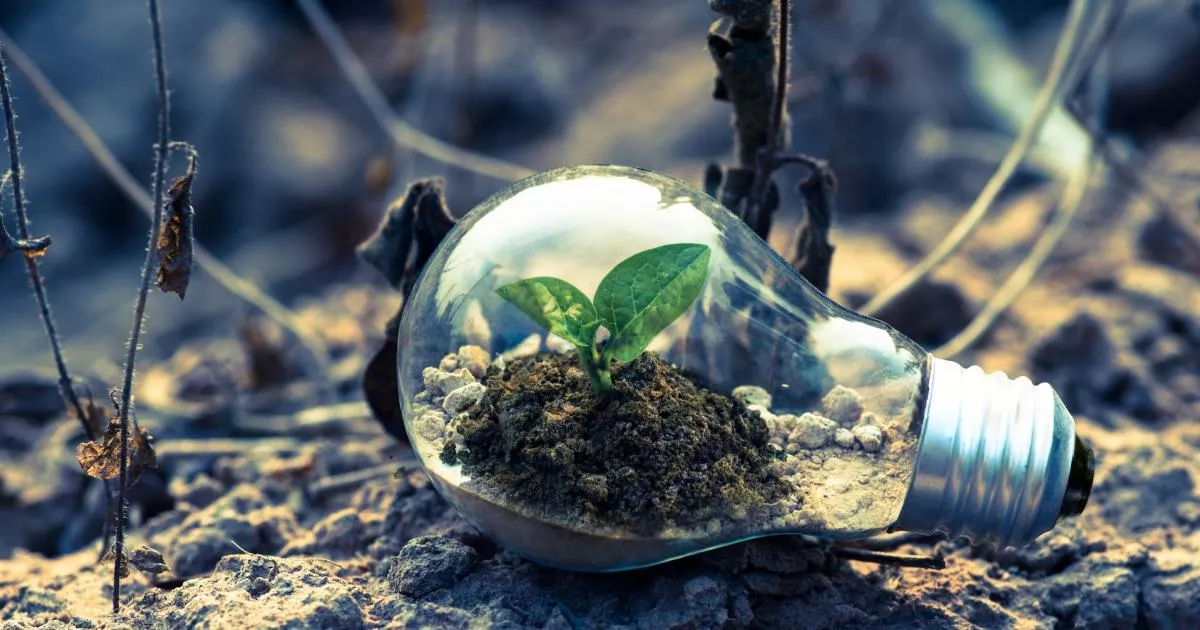 Hora del planeta, cambio climático
