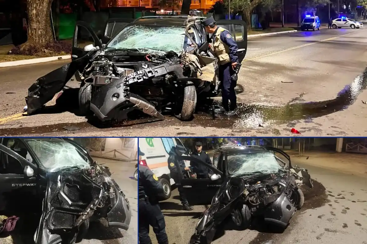 Violento choque contra un árbol en avenida Eva Perón - Diario El Enfoque Concordia