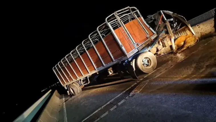 accidente rosario victoria