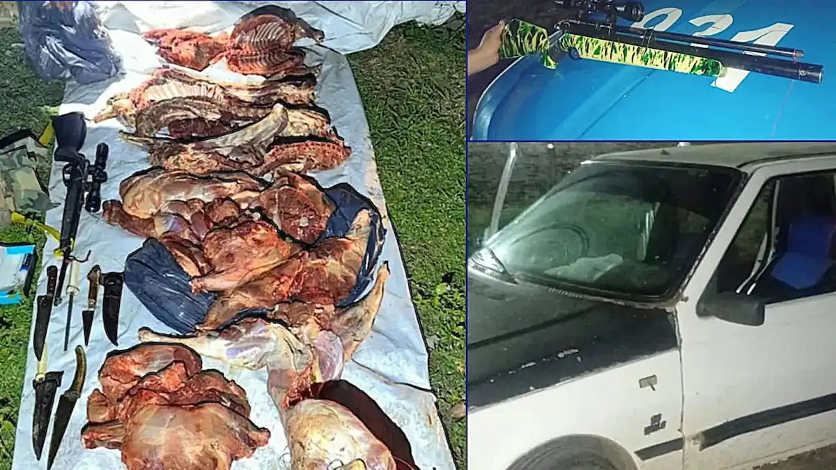 Secuestran carpinchos faenados y armas en operativo rural en Federacion - Diario El Enfoque Concordia