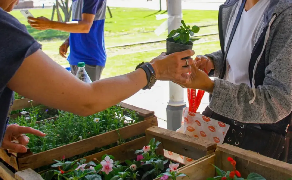 Ecocanje- Educación Ambiental - - Concordia - Diario El Enfoque