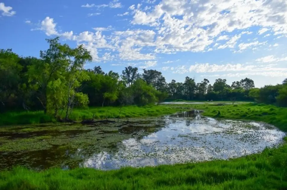 la chinita - área natural protegida