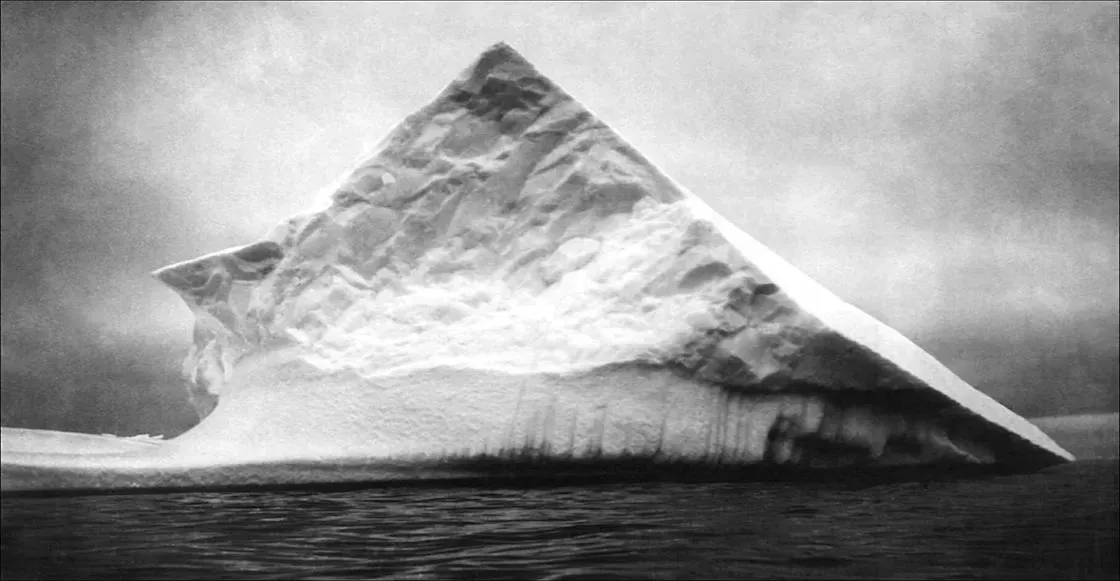 terranova 1