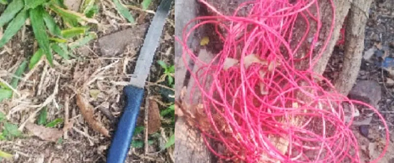 TENTATIVA DE ROBO (1)a