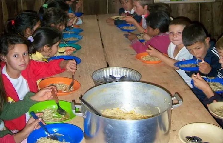comedor escolar