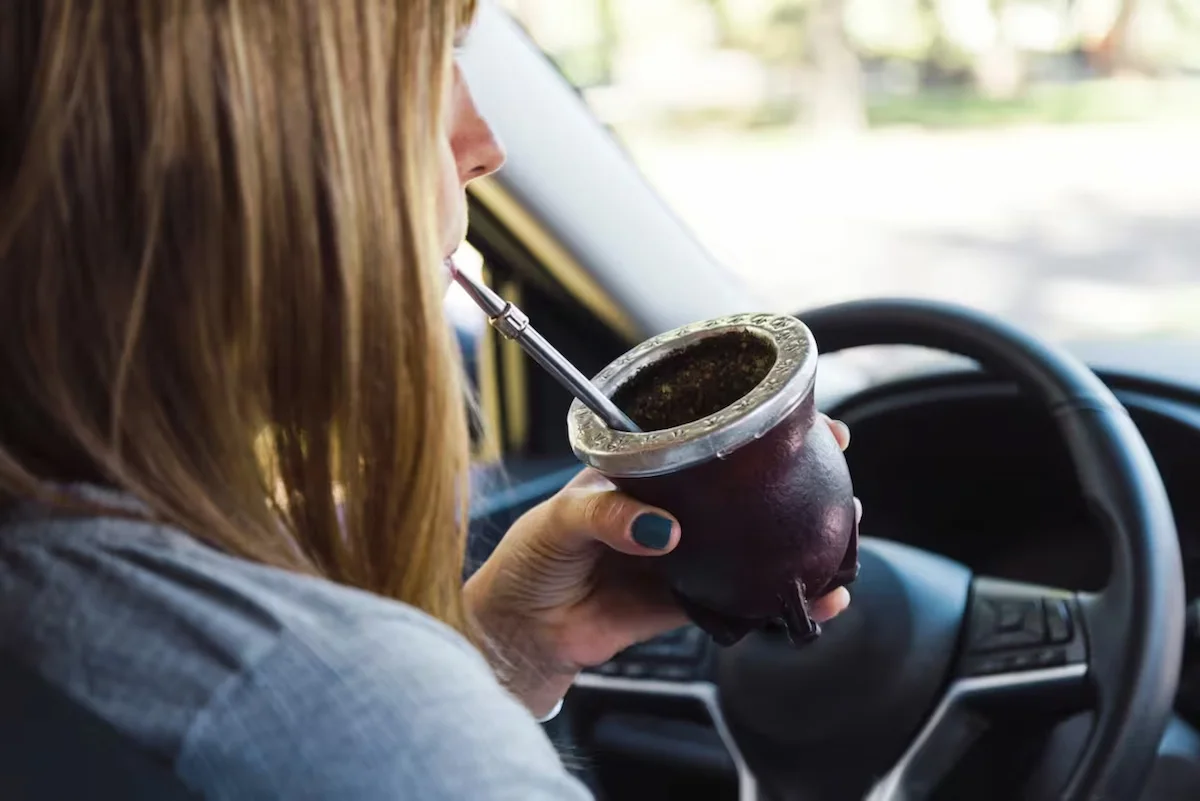 mate manejando - ley de transito - Diario El Enfoque