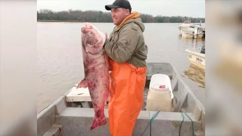 salmón