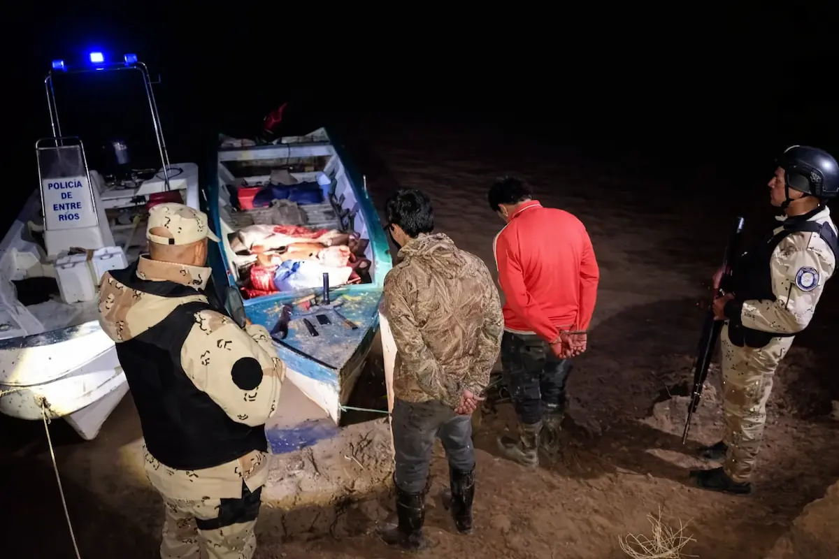 Abigeato en Diamante - Diario El Enfoque Concordia