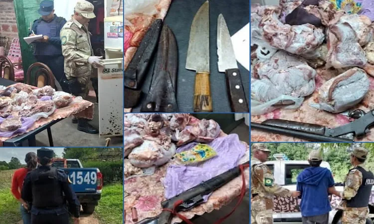 Polish_20250412_093955922 (1)