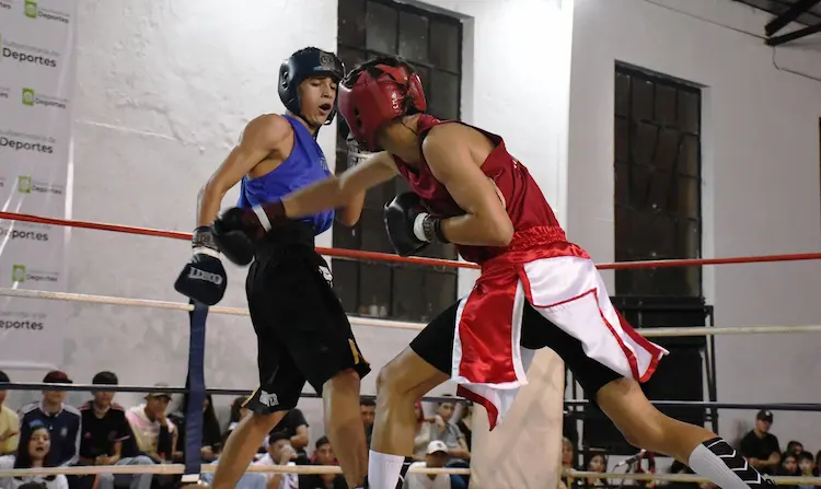 Boxeo