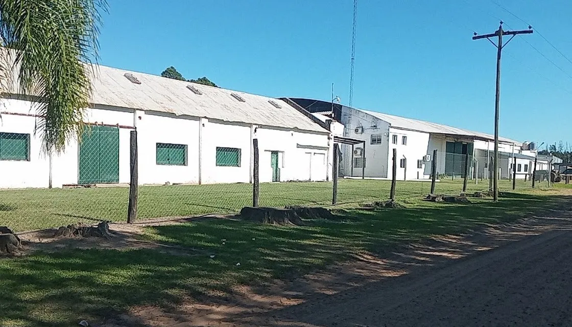 la criolla